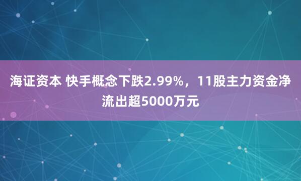 海证资本 快手概念下跌2.99%，11股主力资金净流出超5000万元