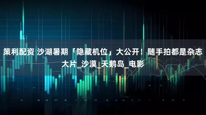 策利配资 沙湖暑期「隐藏机位」大公开！随手拍都是杂志大片_沙漠_天鹅岛_电影