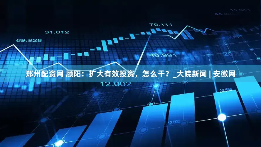 郑州配资网 顾阳：扩大有效投资，怎么干？_大皖新闻 | 安徽网